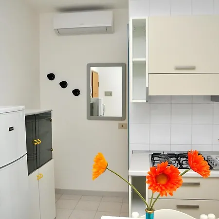 Tucano Μπιμπιόνε