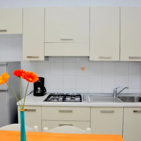 Tucano Μπιμπιόνε