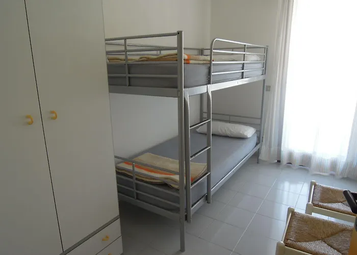 Tucano * ビビオーネ