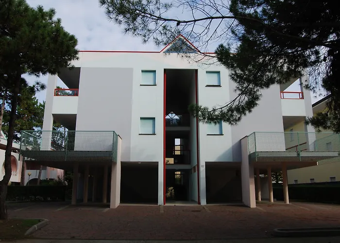 Tucano * ビビオーネ