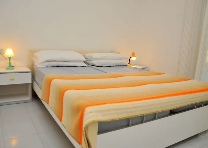 Tucano * ビビオーネ