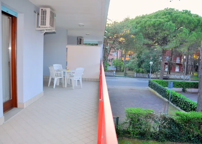 Tucano * ビビオーネ