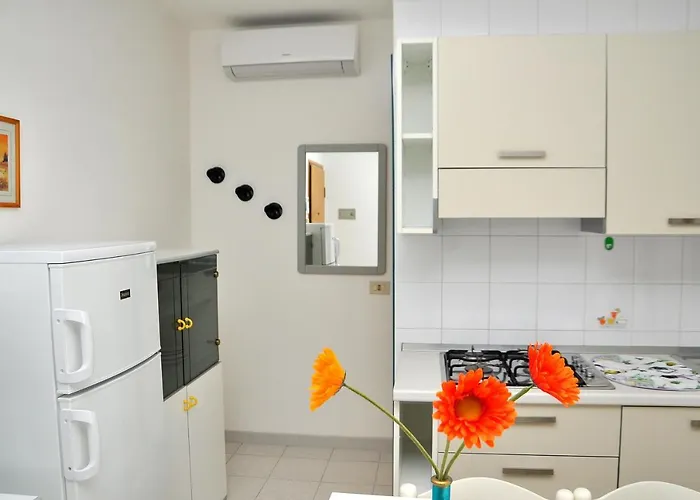 Tucano ビビオーネ