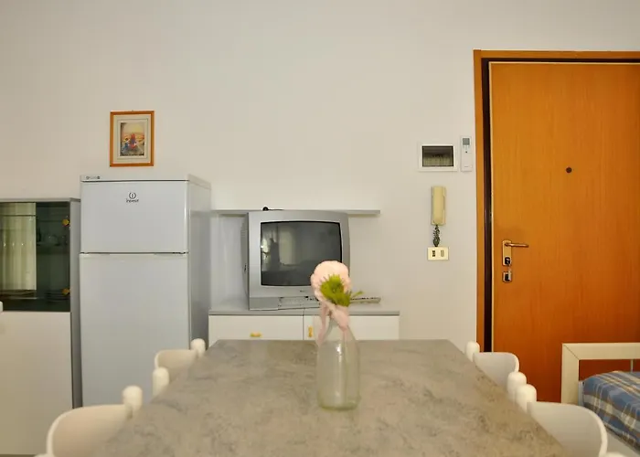 Tucano * ビビオーネ